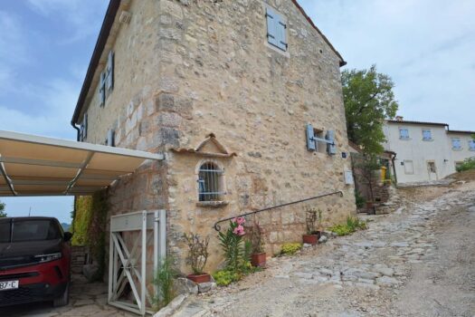 1724781442 1000009921 1