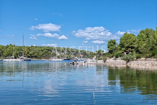 1726576987 img 20240911 131448