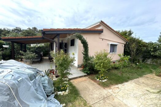 1727776010 1000012579 1