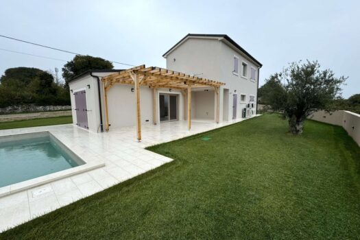 1729776233 1000013947 1