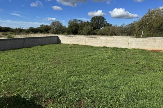 1729846813 1000014008 1