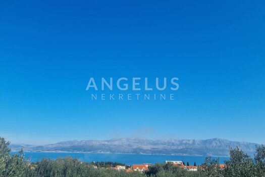 1679922894 photo 2023 03 27 14 21 20 1 1