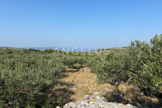 Kroatien, Brač, Bobovišća – Privatgrundstück mit 140 Quadratmetern und mehr, 5.940 m2 1726146821 img 5337