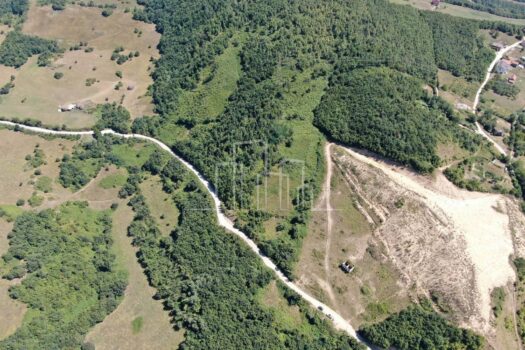 1730897909 whatsapp image 2024 07 30 at 12