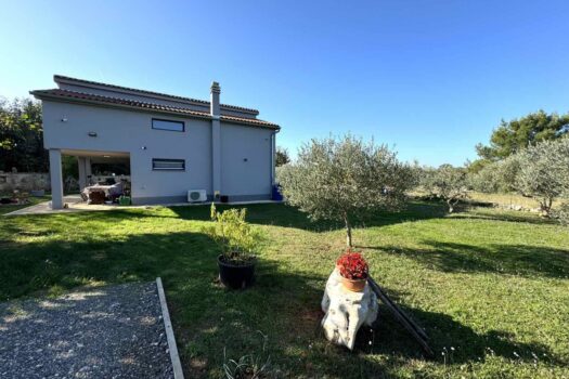 1731318506 1000014842 1