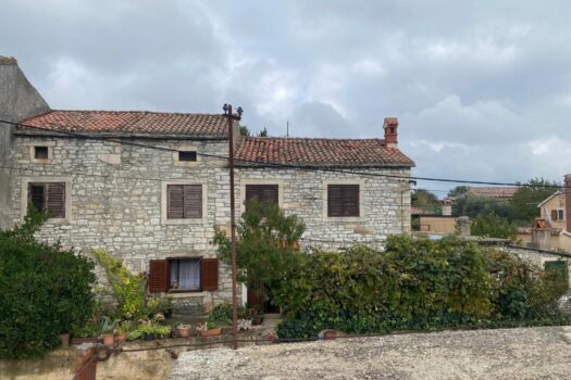 1731330255 1000014873 1