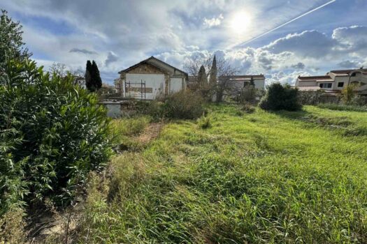 1732189483 1000015632 1