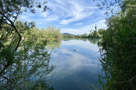 1Pd8KHpsGkSBJsJE1txWbx