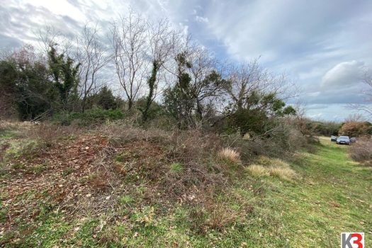 1RguXk0OuXc3kujUC3Ykce