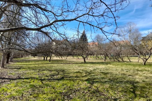 20N76w64Jcq9zEVlSPG5Zs