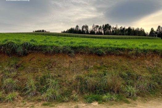 Sommer im Eigenheim 4dzLlzct7HqIODYAZFCgY9