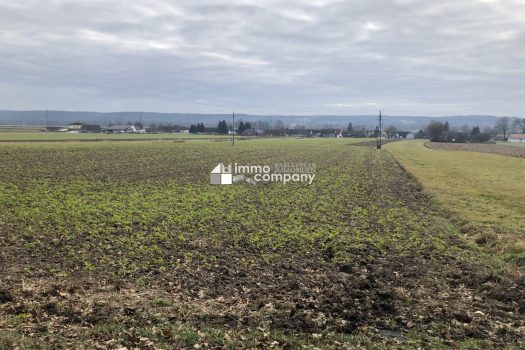 Schöner Baugrund unweit von Jennersdorf 4srX8x3zTaqwtaGuYB3y1a