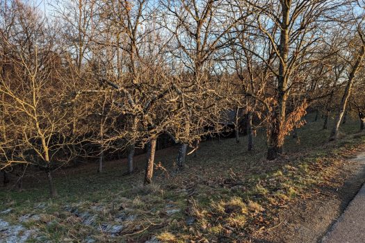 5zGm7vz90LowG9j5gGzSCs