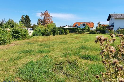 6Ilr7gcO8YJRLaEMNCQ2f3