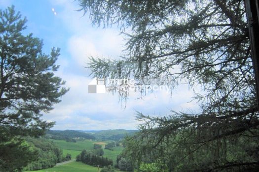 6iJzdYHQmdc7m8dvWWjY0N