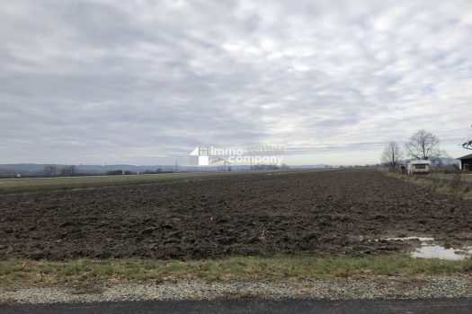 Ebenes Grundstück in Ortsrandlage 6j0UoZAVMHe3kQfp0lzWKf