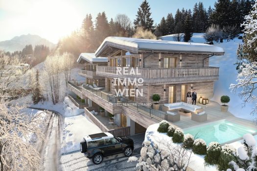 6q1Pv8l8vbZaSQexFeBTCp