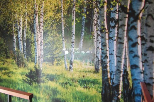 6yFZ1hNKkEOYWp2NV8F0KQ