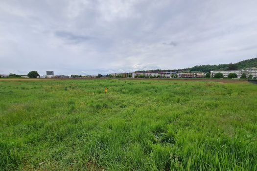 7hBdqVW0i2pMxbv7Y8PahR