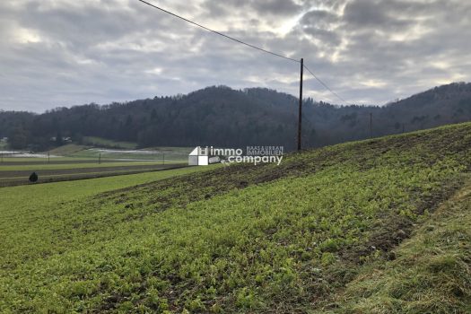 Über 1 ha Grund mit Bauland nahe Jennersdorf 7svn95tBxpiZVujXy29Niq