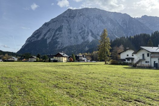 x1vy8N6zZmId29f0vhNeY