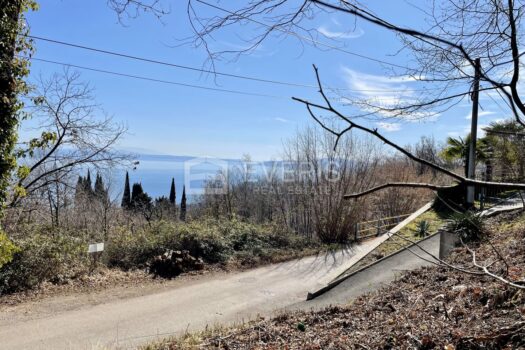 1646645985 e5b60c37 bf83 4a8d 933d 41865665b44f