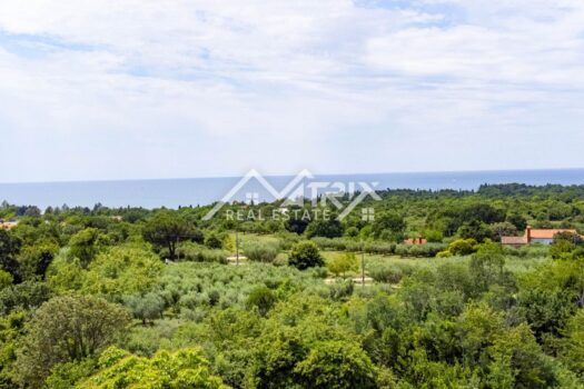 1686672421 zemljiste pocrnja kc 2068 3