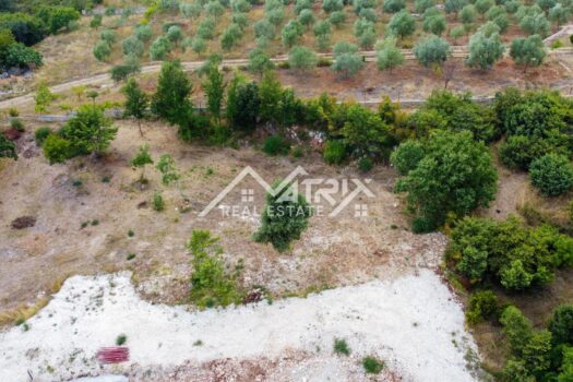 1692185484 zemljista peruski sarici 28