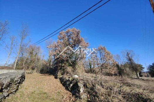 Grožnjan Umgebung, Baugrundstück in der Natur 1705333026 1