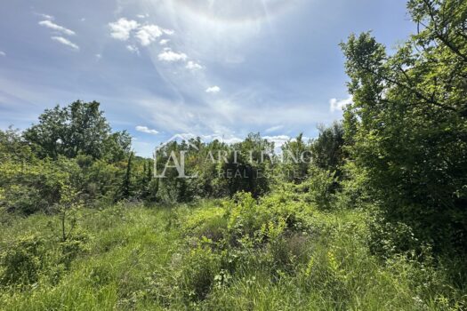 1732789414 image00009