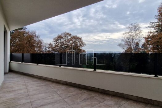 1733300852 1000034952