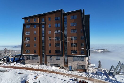 1733496111 1000093960