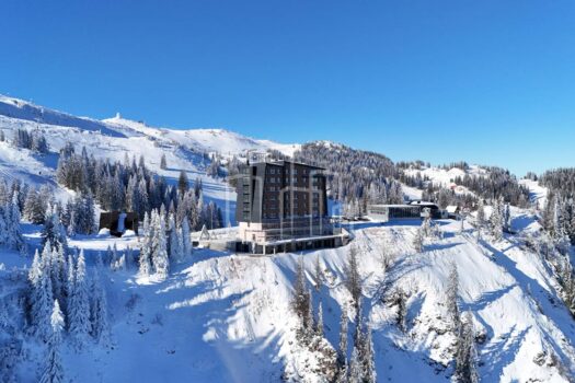 1733497604 1000093981