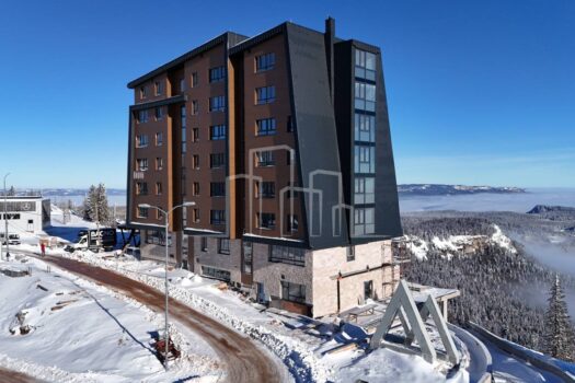 1733499226 1000093961