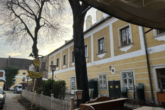 Herrschaftliches Anwesen in der Innenstadt mit unzähligen Nutzungsmöglichkeiten! 23q8BG4a90iR4DDQmVW7gA 1