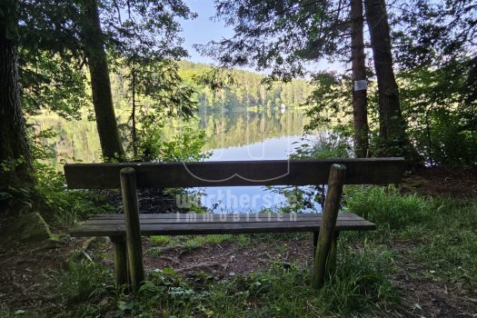 ein Ruheplatz im Schatten am Saissersee