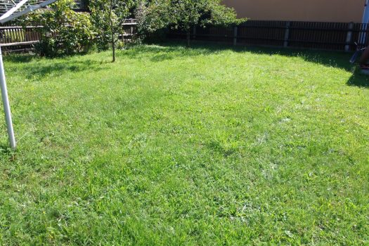 4IZwPEGhG5lTL6ShjB67Pc