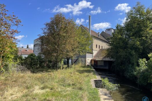 56OZQpnB2rd9bIBtWiimsB