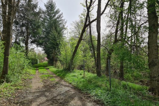 5vb4cp4ixgboonbwnS45Eh