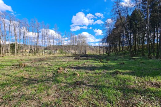 662pixwTN35f7BHisdW4dd