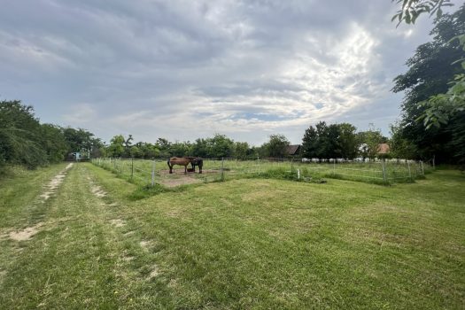 6MYgYHbEmfca2PYGltQPIZ