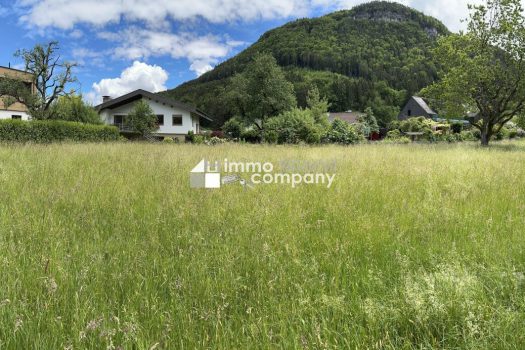 Die optimale Größe für Ihr Bauvorhaben und Wohnprojekt in GÖFIS. Verwirklichen Sie Ihr Bauprojekt in GÖFIS, in Stadtnähe zu Feldkirch und Rankweil, auf diesem weitläufigen Grundstück mit ca. 1.676 m² Grundfläche. Kzv1uIVPIMZFDW0rlEWMi