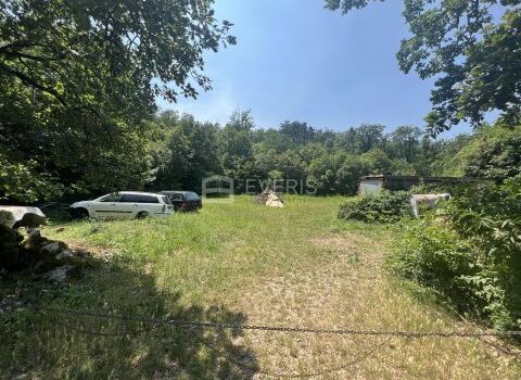 1702469214 thumb 1687272417 img 0317