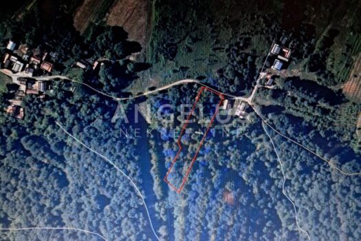 1716745727 20240525 164355