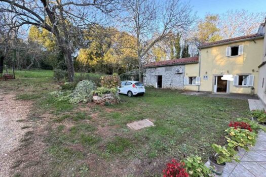 1731488456 1000015008