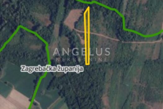 1733773526 img 20241208 wa0024