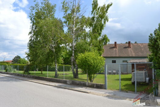 Einfamilienhaus mit großem Grundstück in Maria Ellend DSC_0360