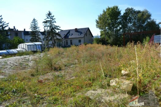 Gutes Bauträgergrundstück in Münchendorf mit Bauentwicklung auch für Privatkunden geeignet DSC_0240