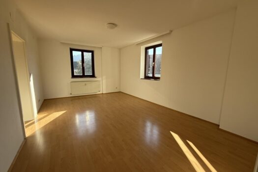 Single,- bzw. Pärchenhit in idyllischer Lage ab sofort ++Videorundgang++ 20250129_103045811_iOS