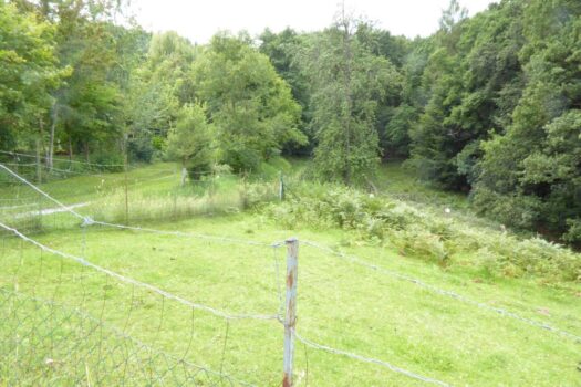 2ORGReaCzlgSWra5w0wMET 1